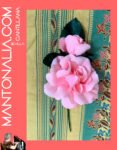 FLOR-01-ROSA
