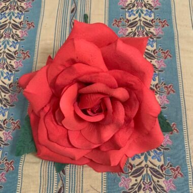 Cómo limpiar una flor flamenca