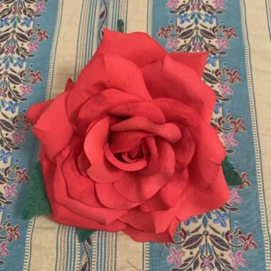Cómo limpiar una flor flamenca